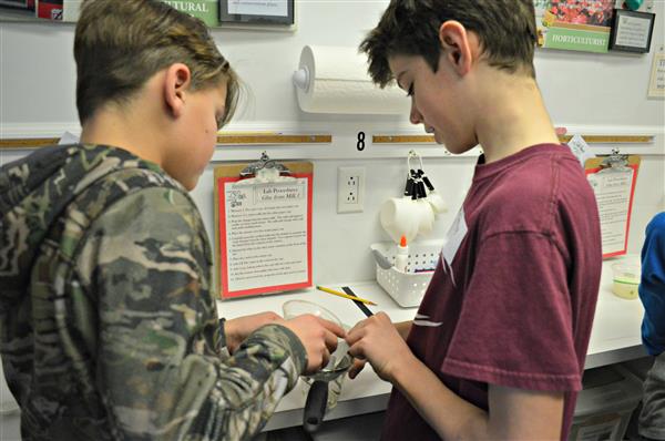 Students make glue out of milk 